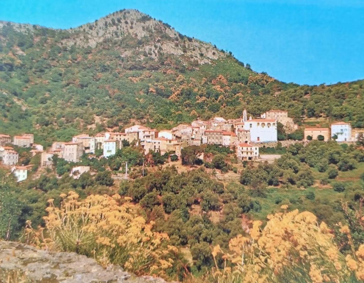 A Stalla Maison De Vacances 6 Personnes Muro  ภายนอก รูปภาพ